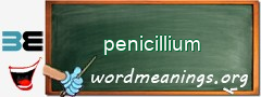 WordMeaning blackboard for penicillium
